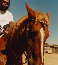 Compton_Cowboys_Exhibition_Large_Prints_027