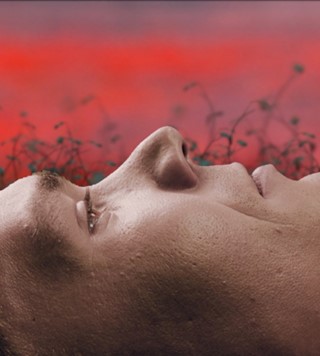  Westerman’s new music video, Outside Sublime