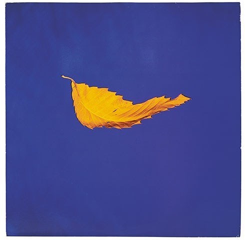 Peter Saville Album Covers New Order Joy Division interview