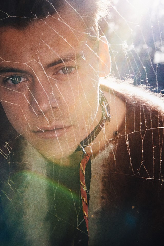 Harry Styles, Ryan McGinley, Another Man Magazine