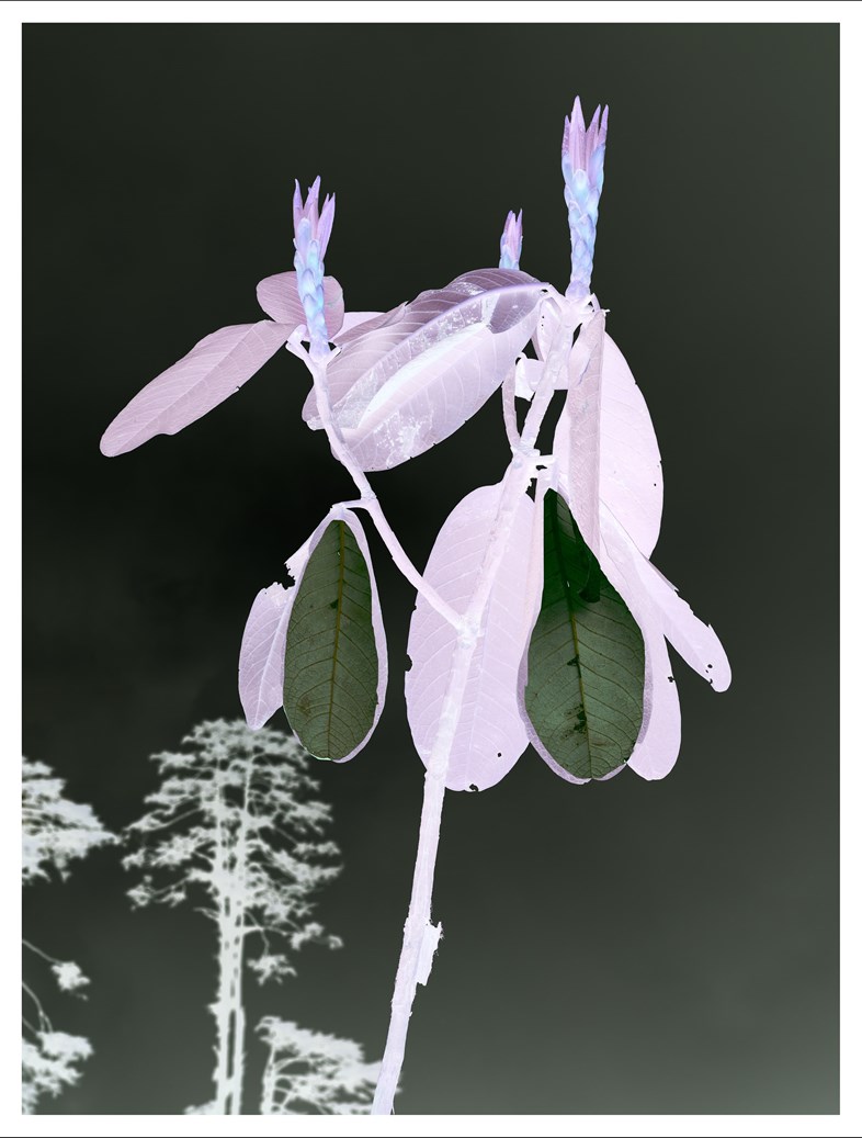 SHE Viviane Sassen exhibition 2017 interview Another Man