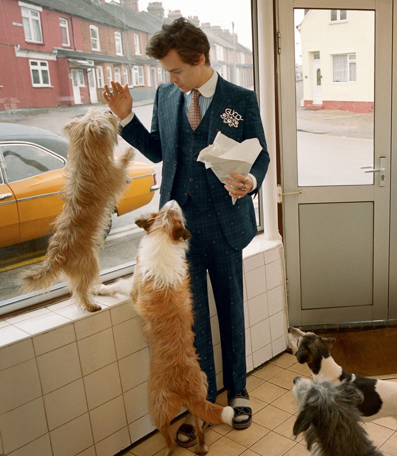 Harry Styles for Gucci Tailoring Campaign model 2018