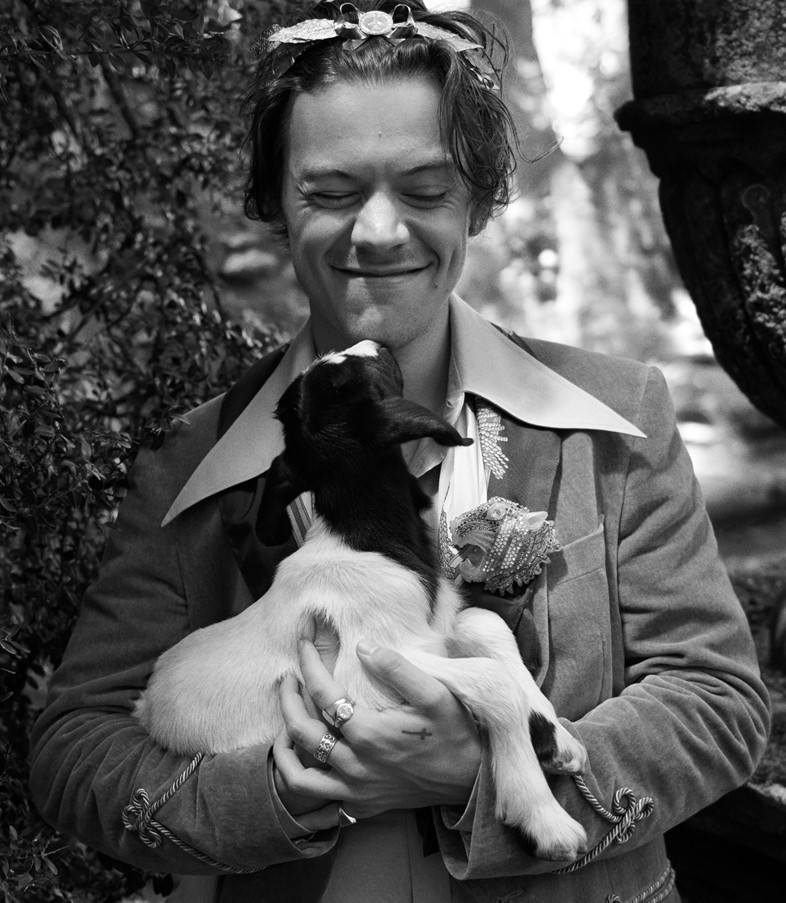Harry Styles Gucci campaign ad 2018 Another Man fashion