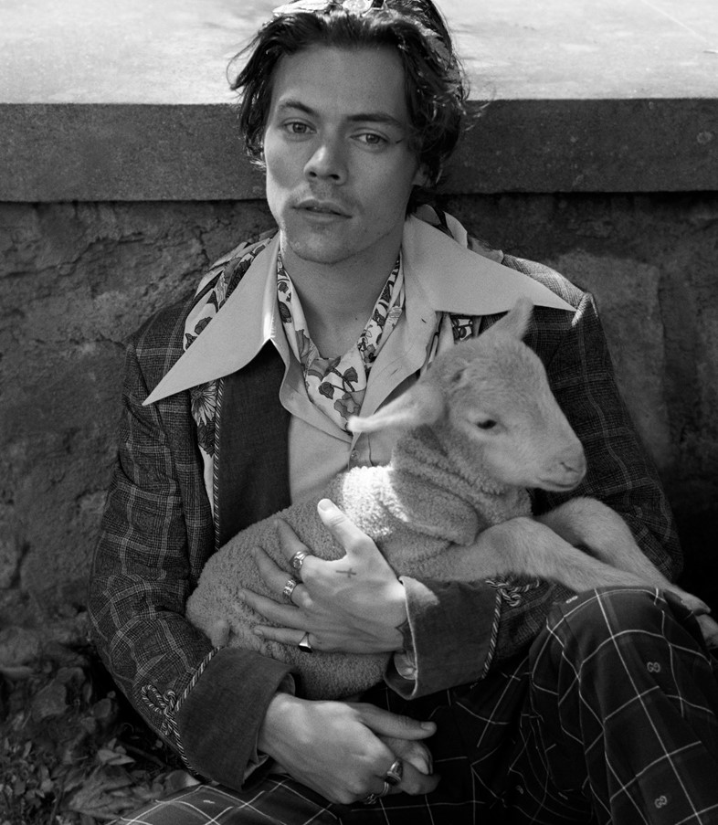 Harry Styles Gucci campaign ad 2018 Another Man fashion