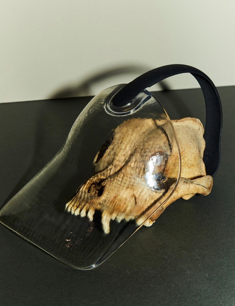 06_Leo_Product_711_