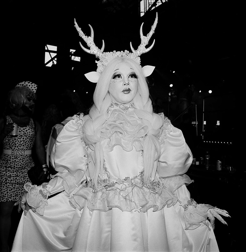 Bushwig2019_antlers