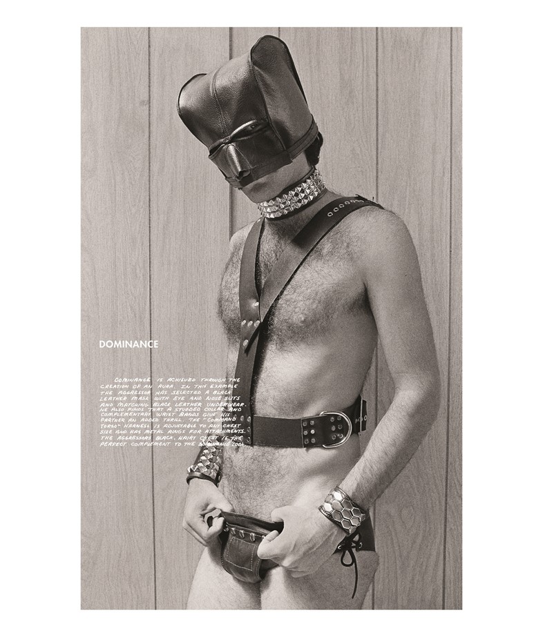 Hal Fischer The Gay Seventies 1970s Gay San Francisco