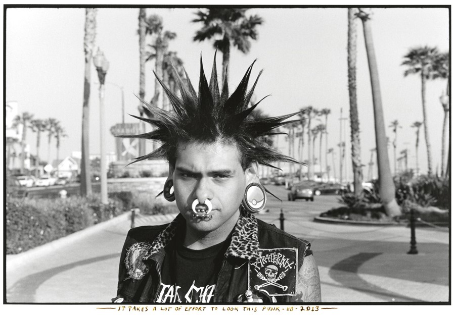 Templeton_SpikesNoesEarsHB