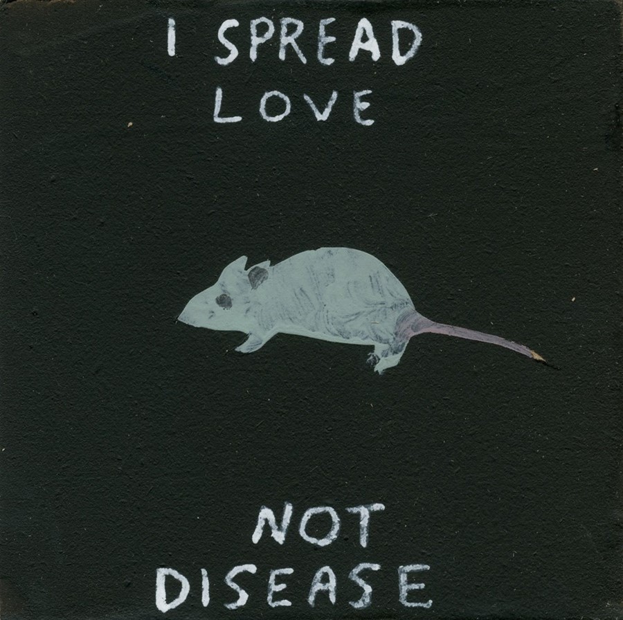 i spread love not disease mdnf 2018