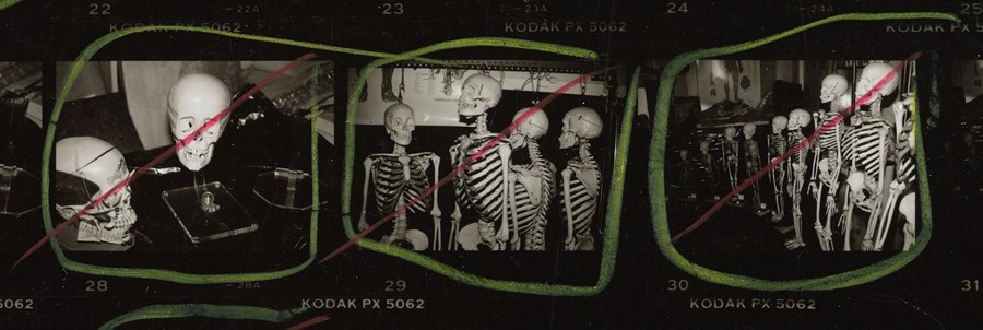 10-2014.43.2892_detail_Stuart_Pivar_skulls