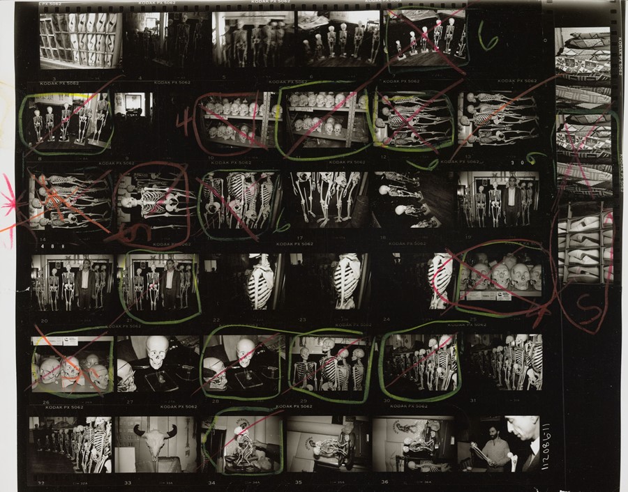12-2014.43.2892_Stuart_Pivar_skulls_sm
