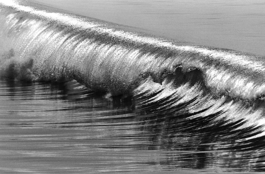 Anthony Friedkin Daniel Cooney surf photography exhibition
