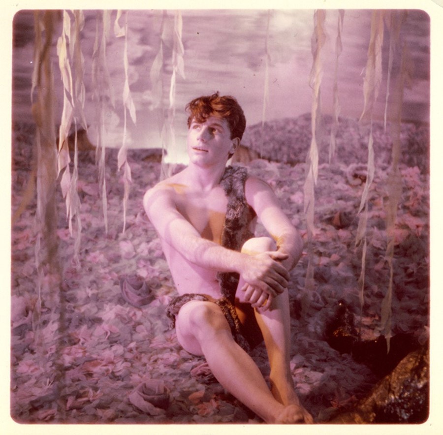 Bidgood_WillowTree1