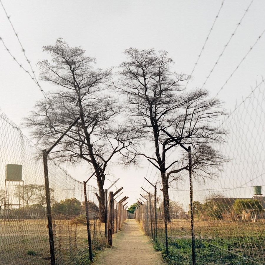 Thabiso Sekgala; Homeland, Pankop, Passage dividin