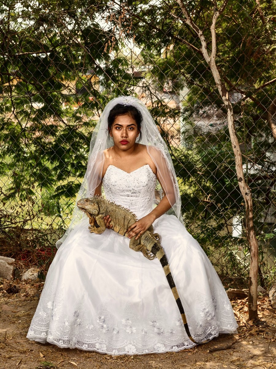Pieter Hugo La Cucaracha 2019 photography Mexico