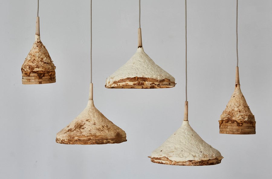 6. Sebastian Cox &amp; Ninela Ivanova, Mycelium &amp; Timb