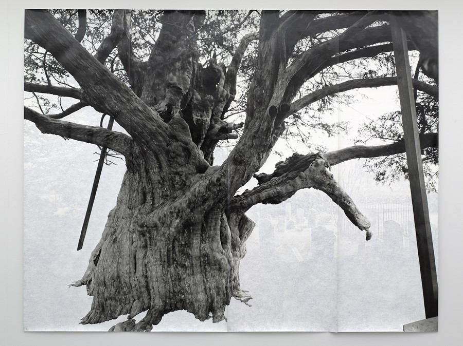 Tacita Dean_Crowhurst II_2007