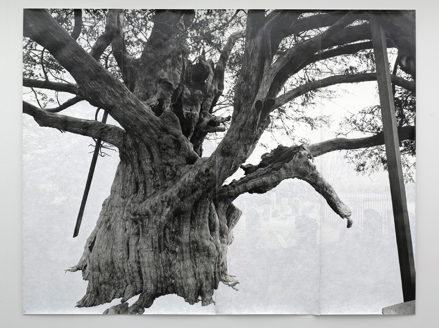 Tacita Dean_Crowhurst II_2007